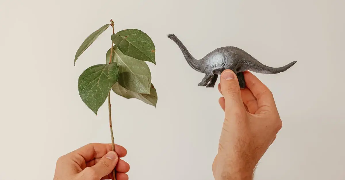 Ultimate Dog Toy Comparison: Find the Perfect Fit