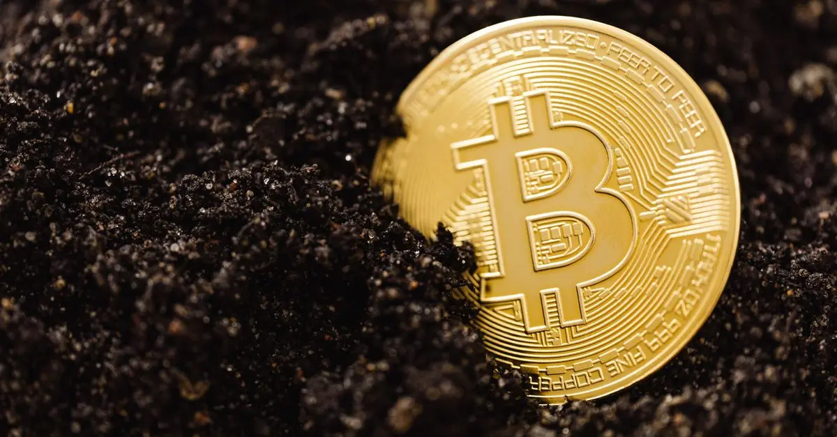 Mining Insights: Basics of Cryptocurrency Mining You Should Know